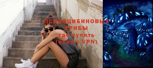 прущие крисы Абаза