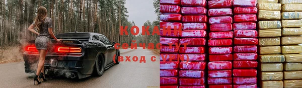 хмурый Абинск