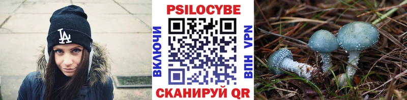 Псилоцибиновые грибы Cubensis  Стерлитамак 
